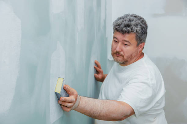 Best Drywall Sanding and Smoothing  in Monfort Heights, OH